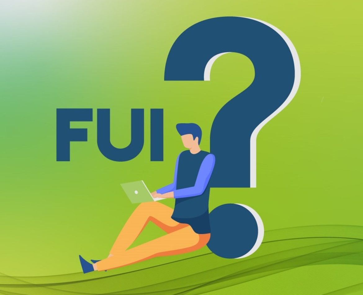FUI…. SAI COSA è E QUANTO TI COSTA?